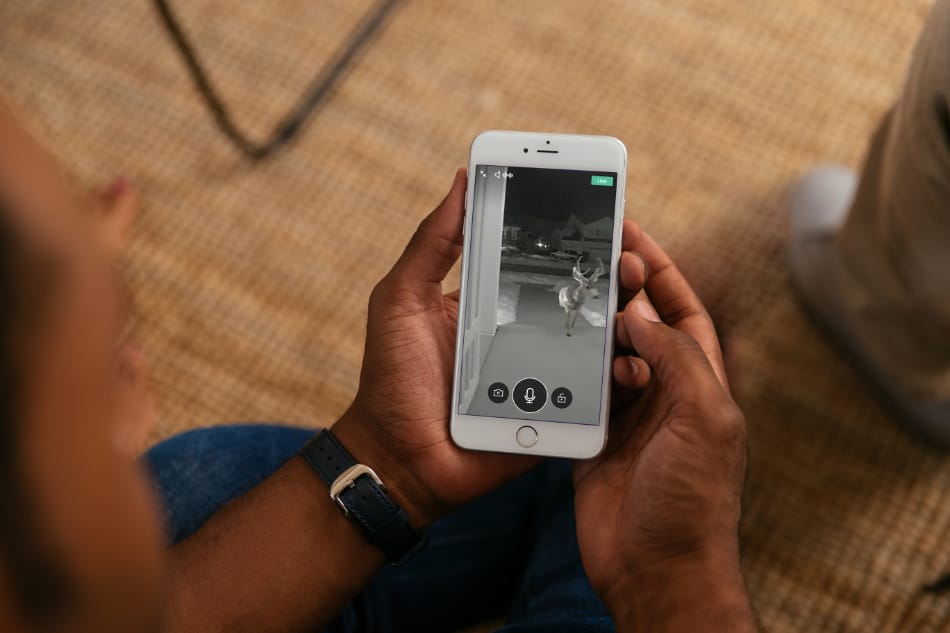 Yulee FL security system